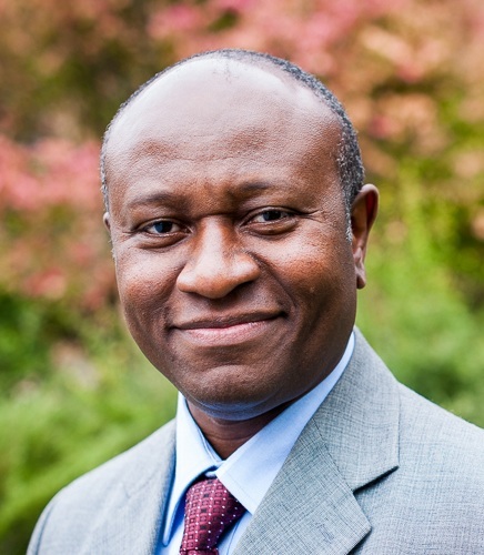 Michael Ngadi, Board Chairman